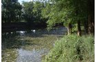 Property photo 32 - REAL ESTATE AUCTION - 26+/- ACRES IN 3 TRACTS IN SOUTHWEST ALLEN COUNTY, INDIANA